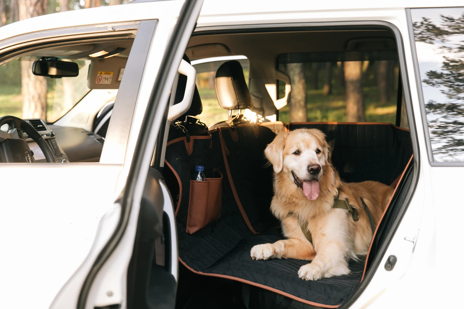 dog back seat cover for Ram Truck