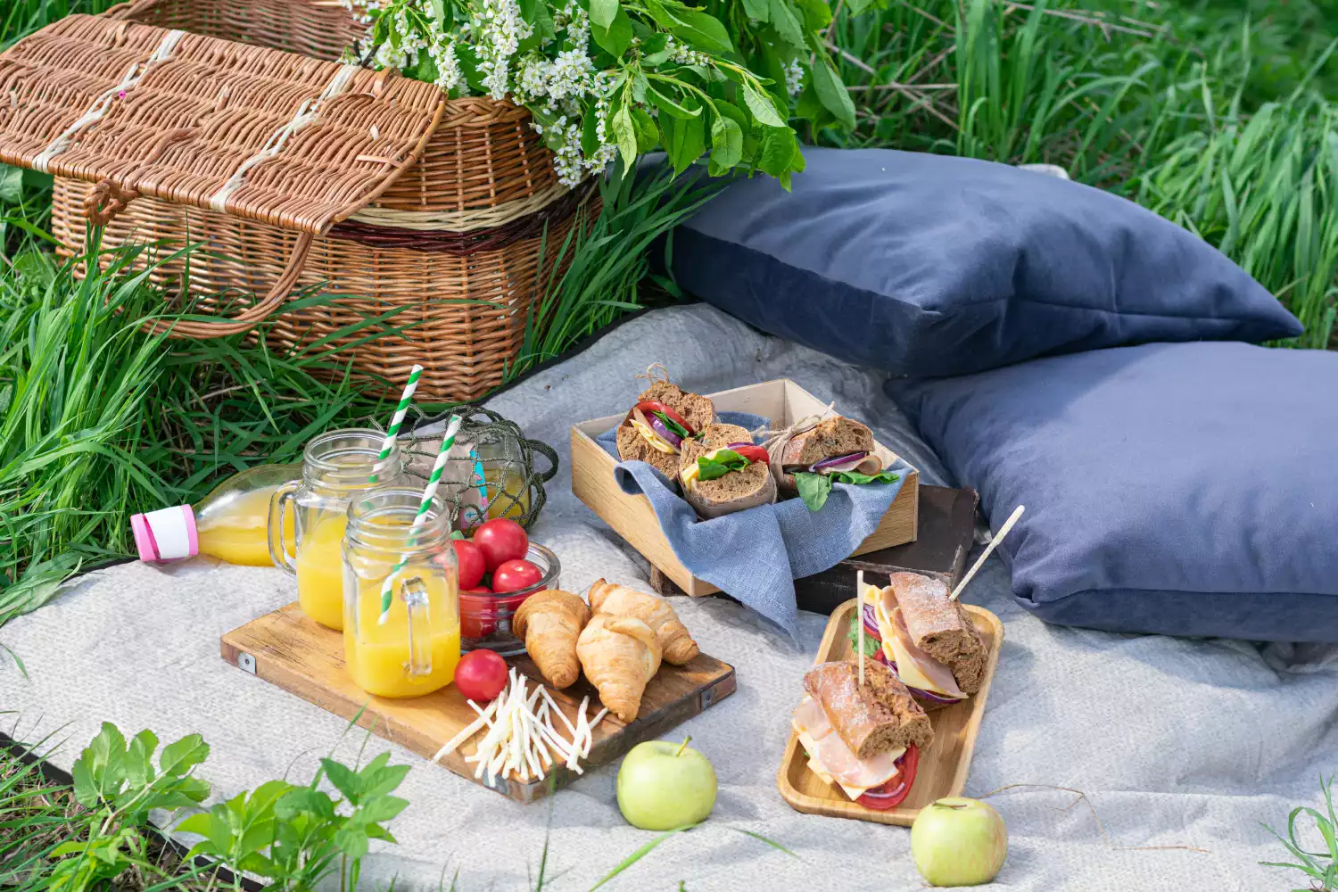 vintage picnic blanket